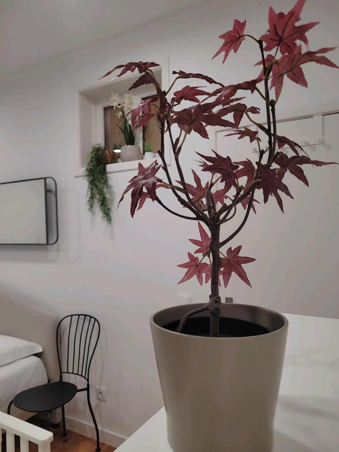 Varanda Privada Iroom Lissabon Buitenkant foto